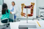 Pengobatan Apendisitis Prosedur, Gejala, dan Pemulihan